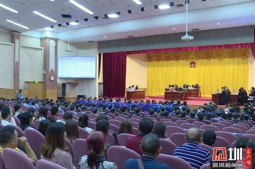 深圳杨某爆料最新新闻报道,最新热点事件深度解析